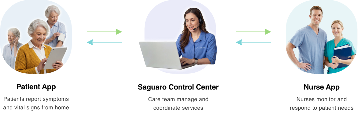 Saguaro Ecosystem of Care Illustration